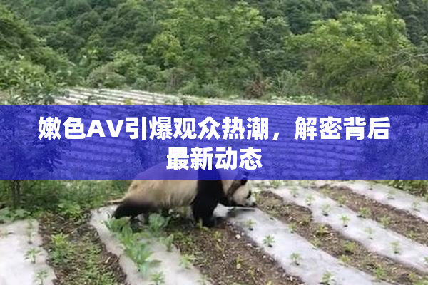 嫩色AV引爆观众热潮，解密背后最新动态