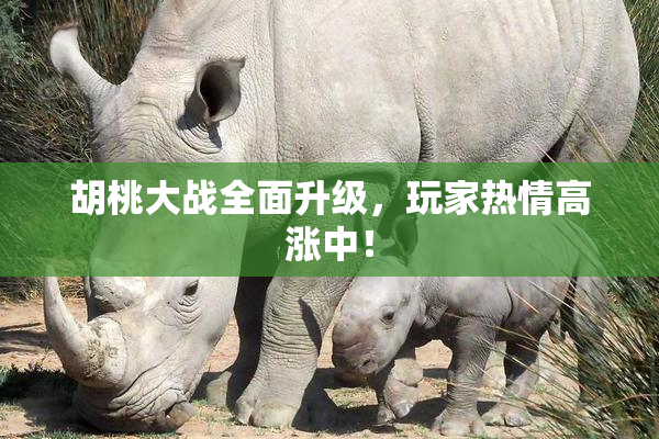 胡桃大战全面升级，玩家热情高涨中！