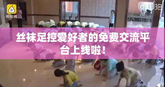 丝袜足控爱好者的免费交流平台上线啦！