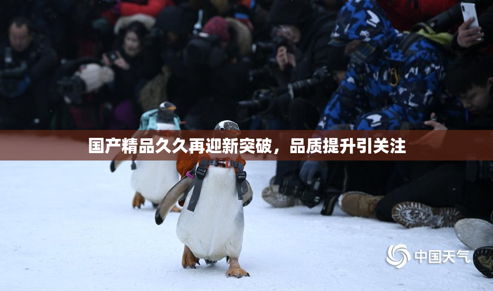 国产精品久久再迎新突破，品质提升引关注
