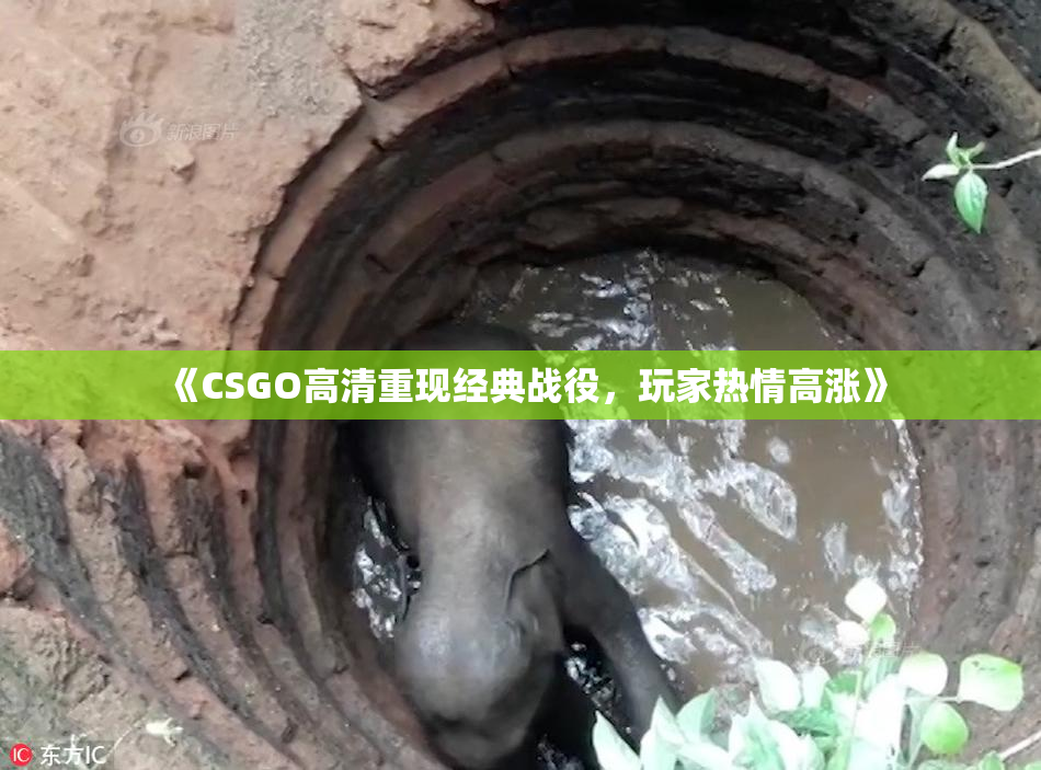 《CSGO高清重现经典战役，玩家热情高涨》