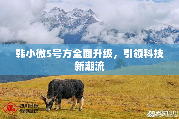 韩小微5号方全面升级，引领科技新潮流