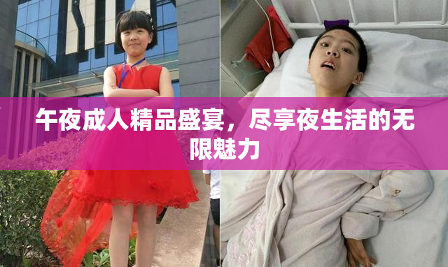 午夜成人精品盛宴，尽享夜生活的无限魅力