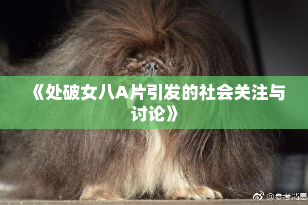 《处破女八A片引发的社会关注与讨论》