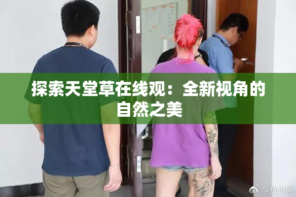 探索天堂草在线观：全新视角的自然之美