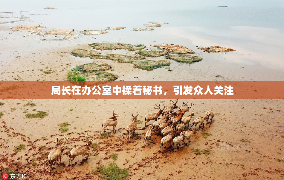 局长在办公室中揉着秘书，引发众人关注