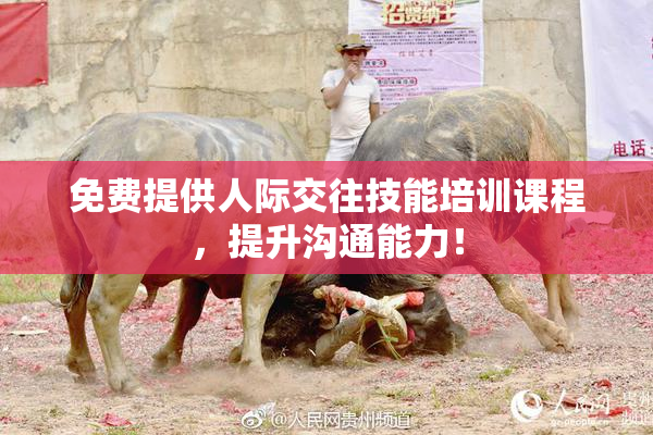 免费提供人际交往技能培训课程，提升沟通能力！