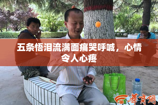 五条悟泪流满面痛哭呼喊，心情令人心疼