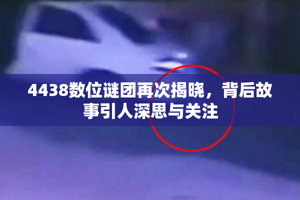 4438数位谜团再次揭晓，背后故事引人深思与关注
