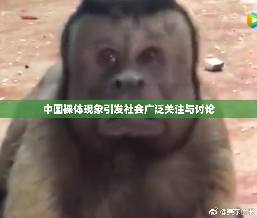 中国裸体现象引发社会广泛关注与讨论
