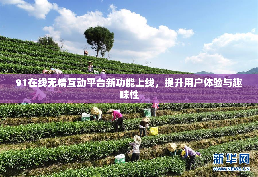 91在线无精互动平台新功能上线，提升用户体验与趣味性