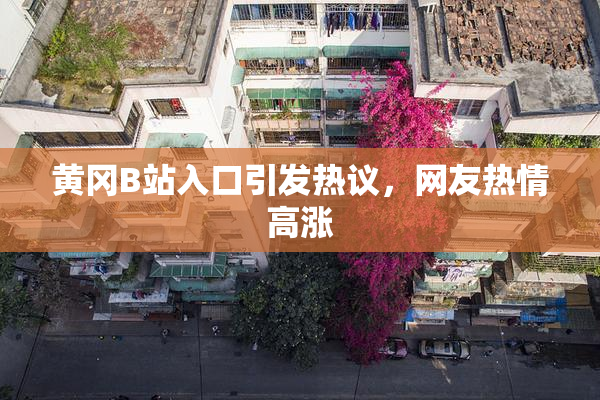 黄冈B站入口引发热议，网友热情高涨