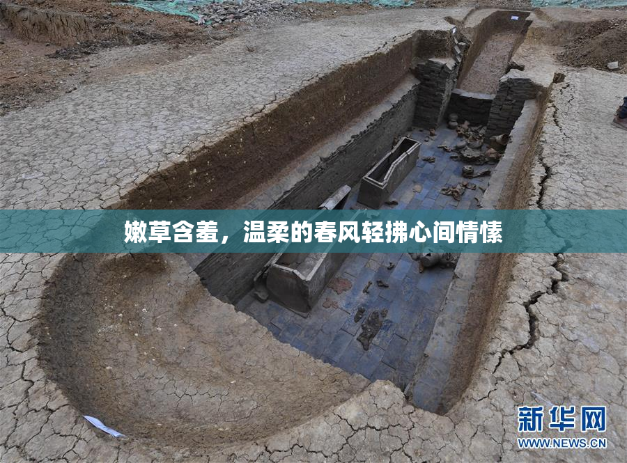 嫩草含羞，温柔的春风轻拂心间情愫