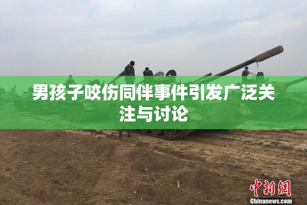 男孩子咬伤同伴事件引发广泛关注与讨论