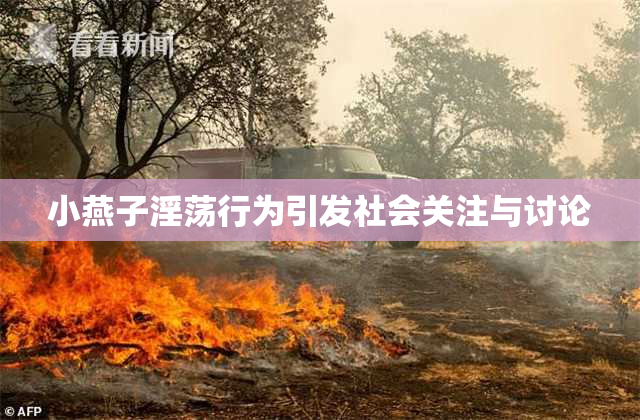 小燕子淫荡行为引发社会关注与讨论
