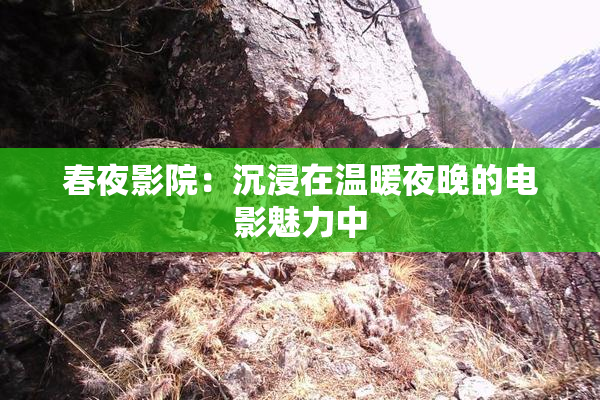 春夜影院：沉浸在温暖夜晚的电影魅力中