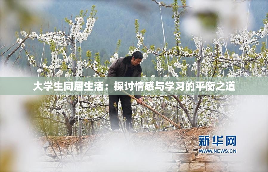 大学生同居生活：探讨情感与学习的平衡之道