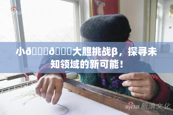 小🐔🐔大胆挑战β，探寻未知领域的新可能！