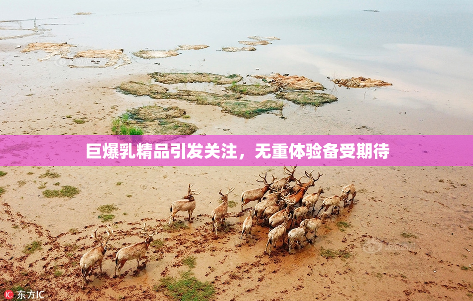 巨爆乳精品引发关注，无重体验备受期待