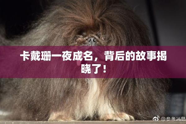 卡戴珊一夜成名，背后的故事揭晓了！