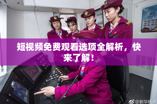 短视频免费观看选项全解析，快来了解！