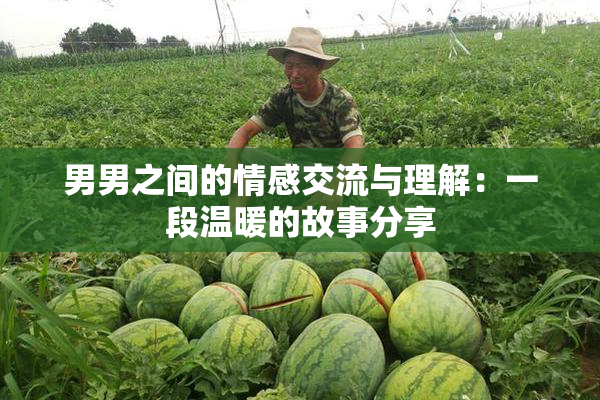 男男之间的情感交流与理解：一段温暖的故事分享