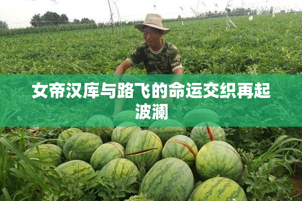 女帝汉库与路飞的命运交织再起波澜