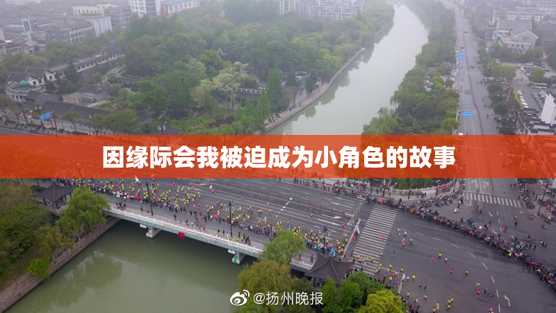 因缘际会我被迫成为小角色的故事