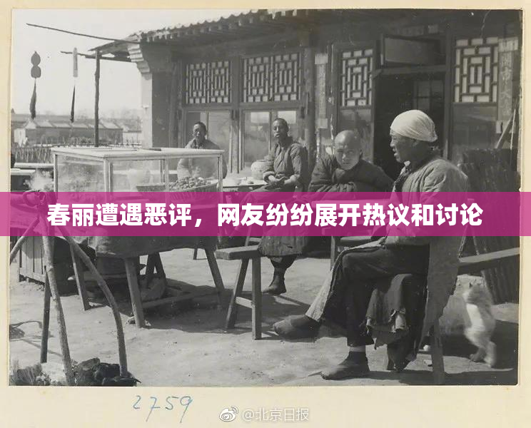 春丽遭遇恶评，网友纷纷展开热议和讨论