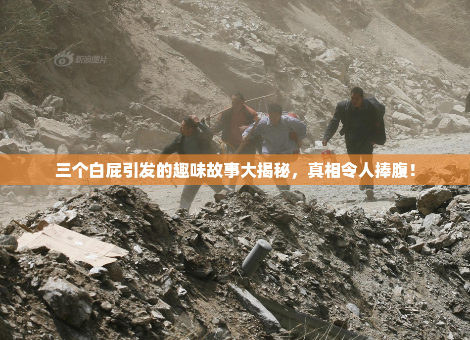 三个白屁引发的趣味故事大揭秘，真相令人捧腹！