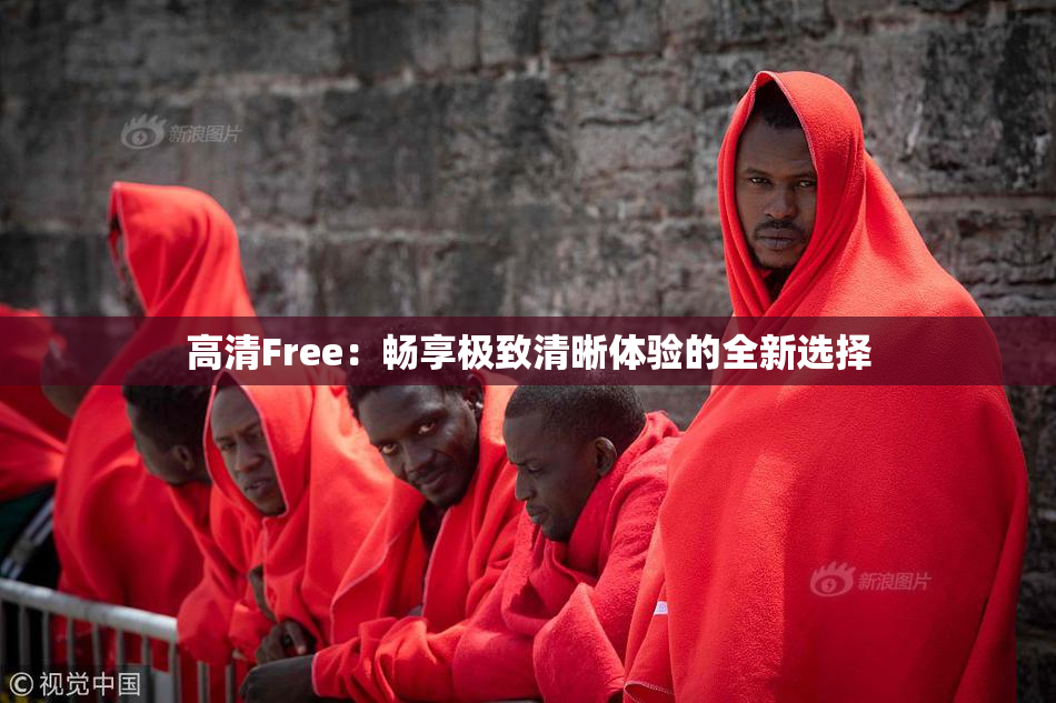 高清Free：畅享极致清晰体验的全新选择