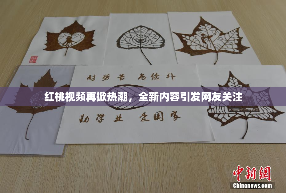 红桃视频再掀热潮，全新内容引发网友关注