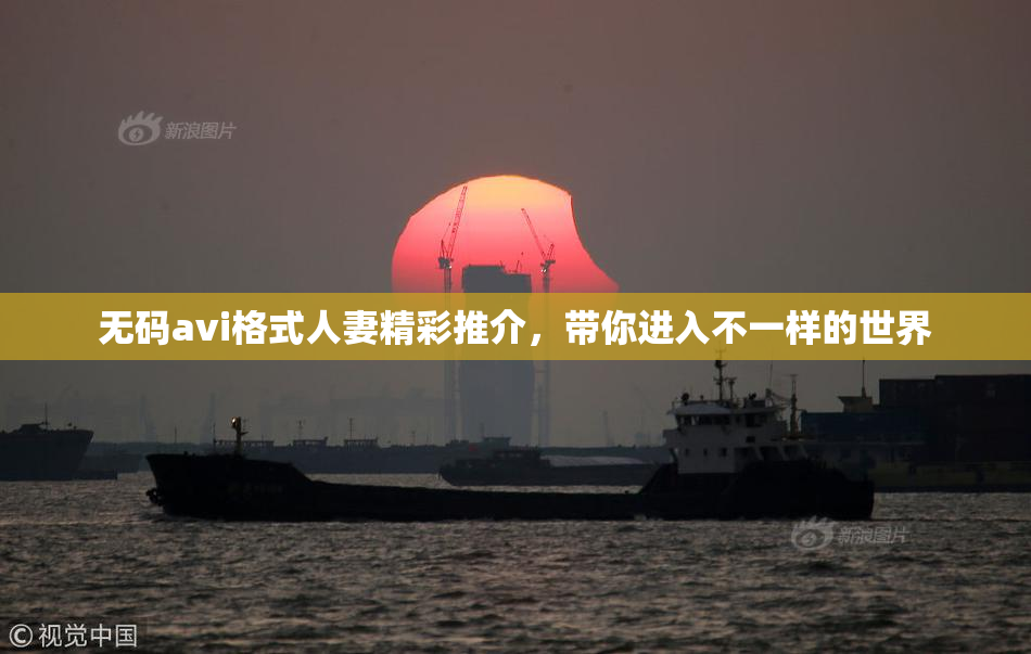 无码avi格式人妻精彩推介，带你进入不一样的世界