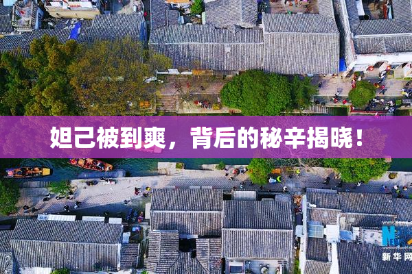 妲己被到爽，背后的秘辛揭晓！