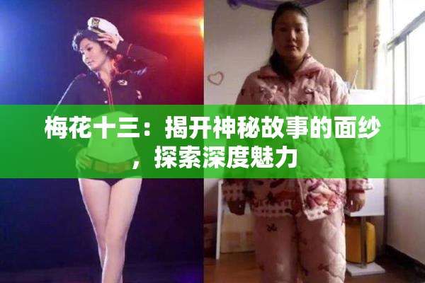 梅花十三：揭开神秘故事的面纱，探索深度魅力