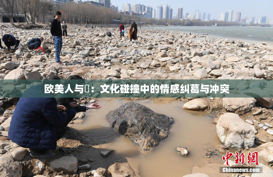欧美人与嘼：文化碰撞中的情感纠葛与冲突