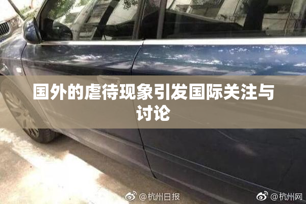 国外的虐待现象引发国际关注与讨论