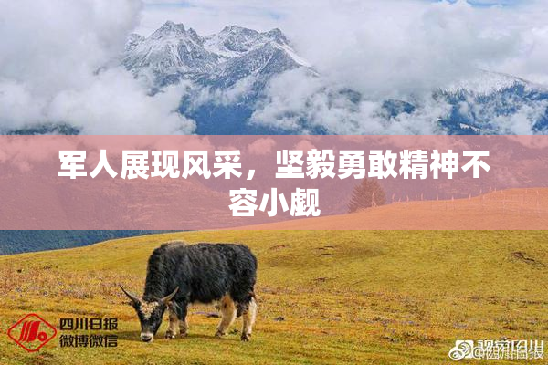 军人展现风采，坚毅勇敢精神不容小觑