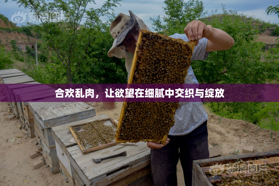 合欢乱肉，让欲望在细腻中交织与绽放
