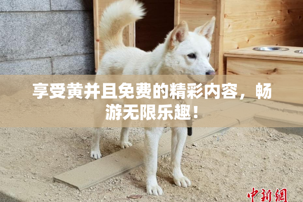 享受黄并且免费的精彩内容，畅游无限乐趣！