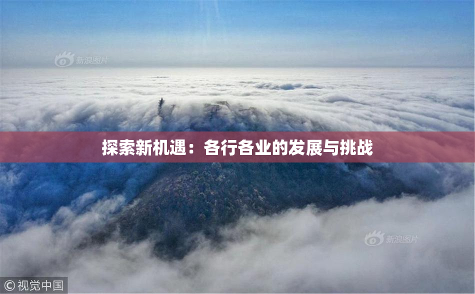 探索新机遇：各行各业的发展与挑战