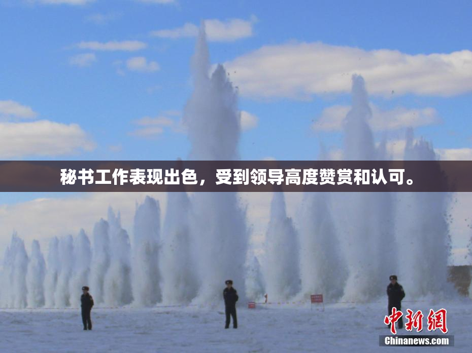 秘书工作表现出色，受到领导高度赞赏和认可。
