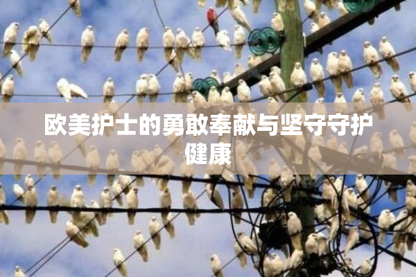 欧美护士的勇敢奉献与坚守守护健康