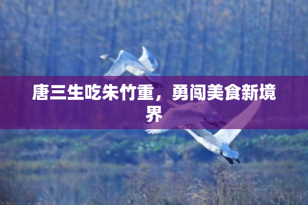 唐三生吃朱竹重，勇闯美食新境界
