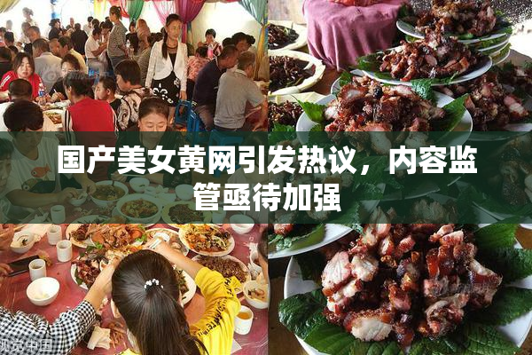 国产美女黄网引发热议，内容监管亟待加强