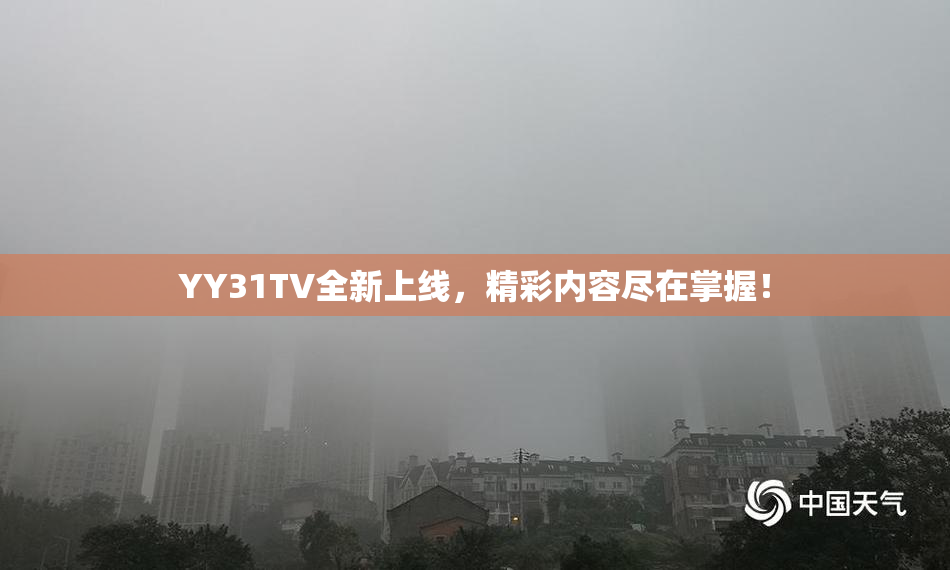 YY31TV全新上线，精彩内容尽在掌握！