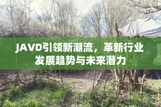JAVD引领新潮流，革新行业发展趋势与未来潜力
