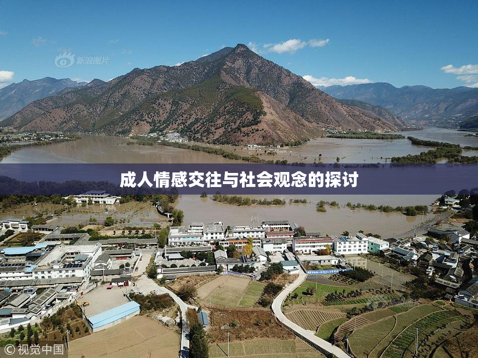 成人情感交往与社会观念的探讨