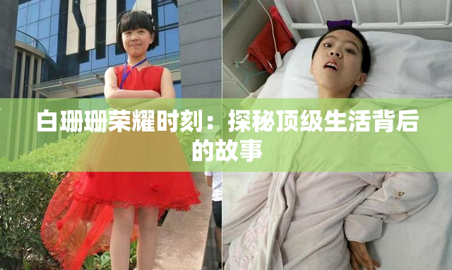 白珊珊荣耀时刻：探秘顶级生活背后的故事