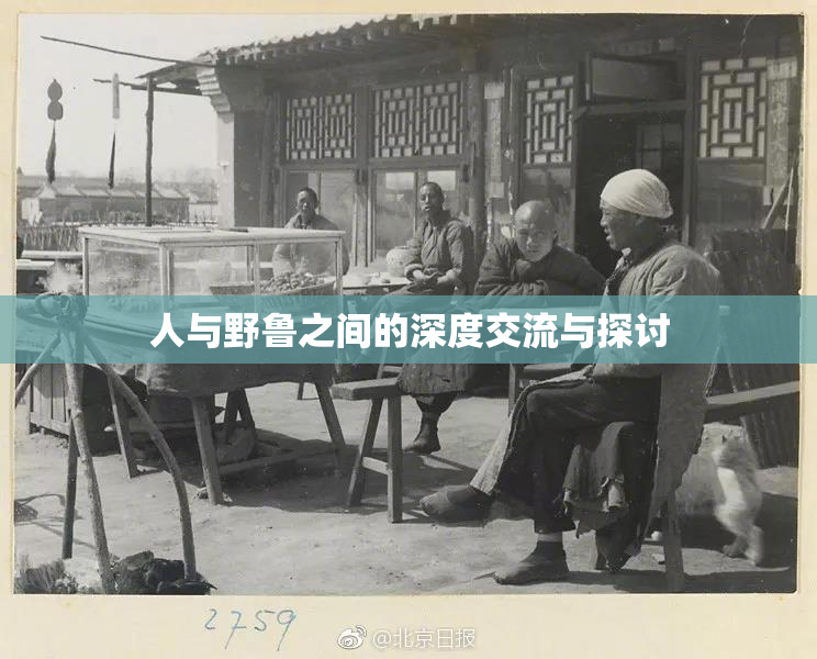 人与野鲁之间的深度交流与探讨